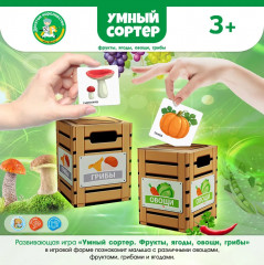 Игра настольная «Фрукты, ягоды, овощи, грибы» - Фото 7