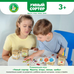 Игра настольная «Фрукты, ягоды, овощи, грибы» - Фото 9