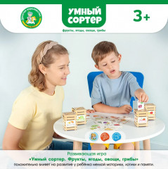 Игра настольная «Фрукты, ягоды, овощи, грибы» - Фото 10