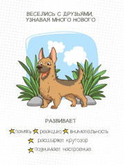 Игра настольная «Четвероногие солдаты» - Фото 4