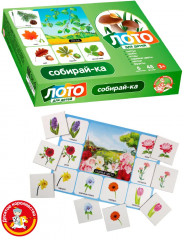 Лото «Собирай-ка» - Фото 4
