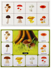 Лото «Собирай-ка» - Фото 7