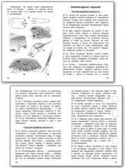 Олимпиадные задания по функциональной грамотности. 2-4 классы - Фото 3
