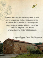 Жизнь Леонардо, мальчишки из Винчи, разностороннего гения, скитальца - Фото 3