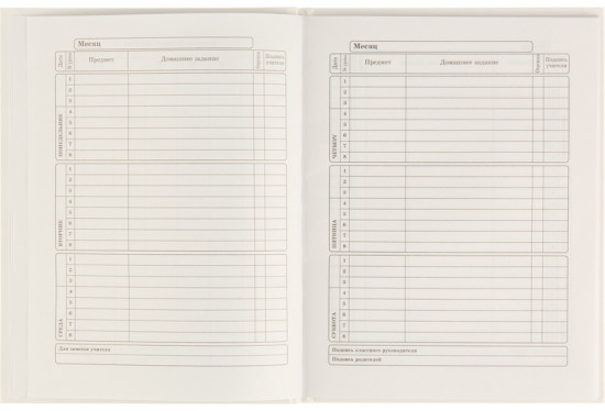 Дневник школьный