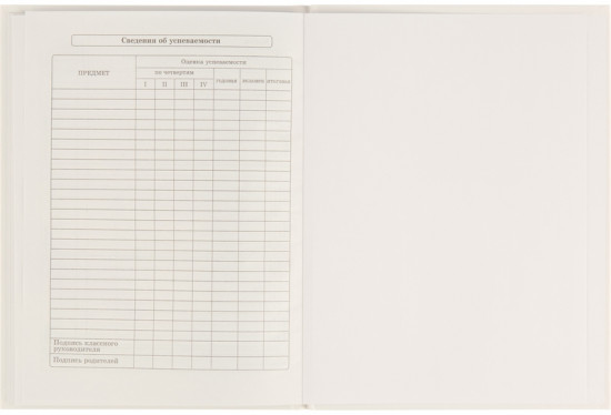 Дневник школьный