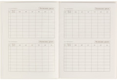 Дневник школьный - Фото 3