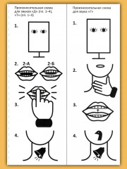 Формирование звукопроизношения при алалии и дизартрии - Фото 8