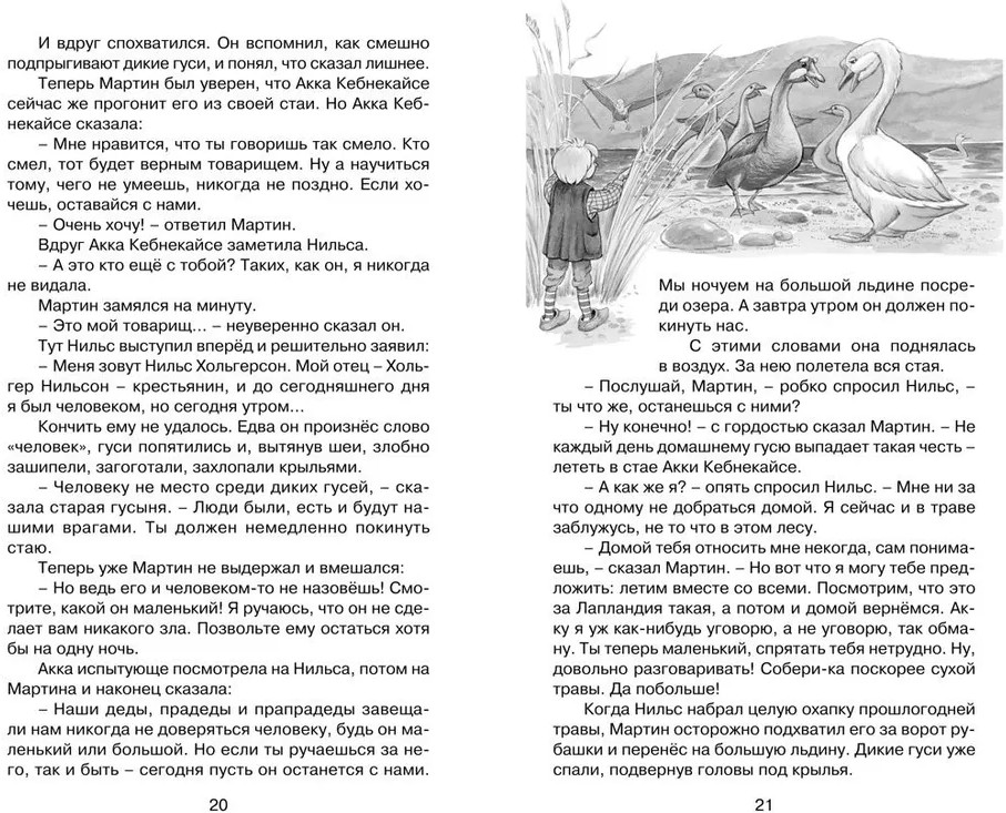 Чудесное путешествие Нильса с дикими гусями | Классная литература | Фото 5