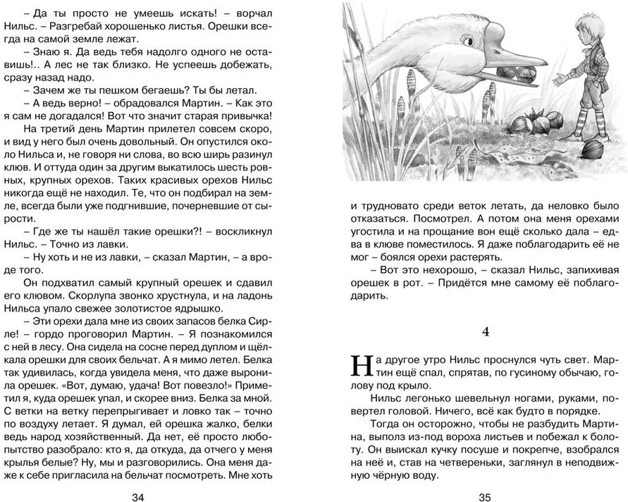 Чудесное путешествие Нильса с дикими гусями | Классная литература | Фото 7