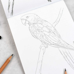 Раскраска для детей «Животные» - Фото 7