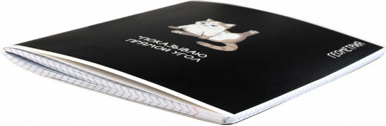 Тетрадь предметная «Геометрия»