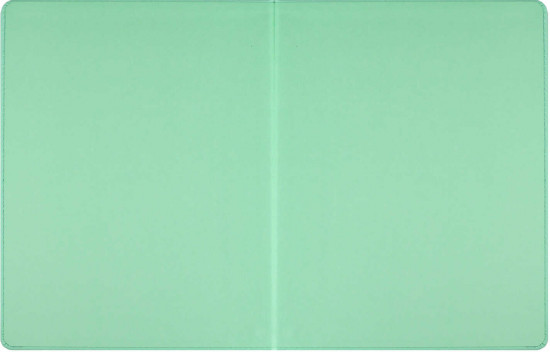 Дневник школьный «Сердечки на мятном»