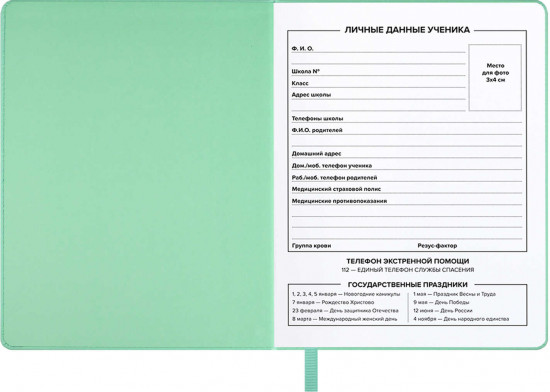 Дневник школьный «Сердечки на мятном»