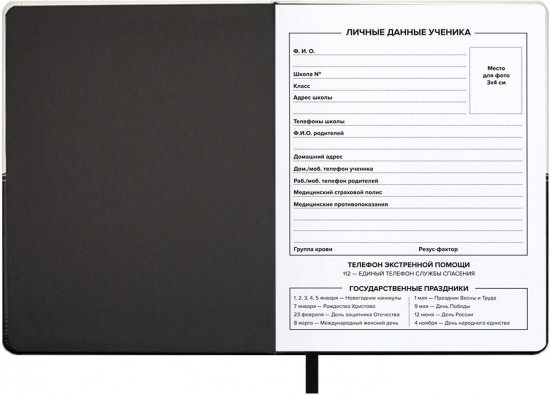 Дневник школьный