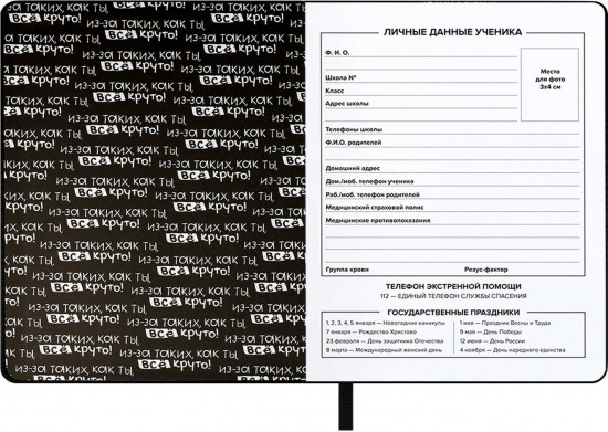 Дневник школьный