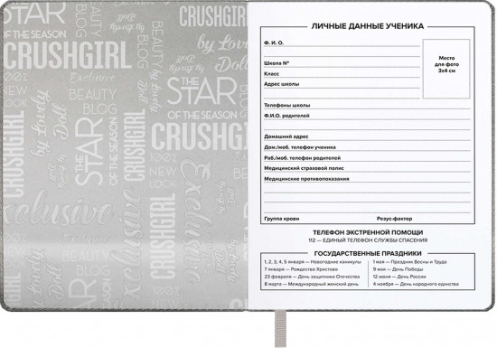 Дневник школьный «Красотка»