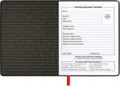 Дневник школьный - Фото 3