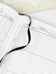 Дневник школьный «Василиса Прекрасная» - Фото 11