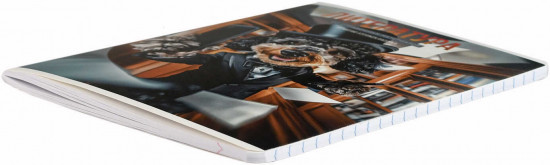 Тетрадь предметная «Литература»