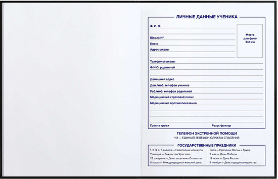 Дневник школьный «Девушка панк»