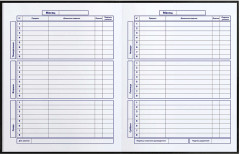 Дневник школьный «Девушка панк» - Фото 5