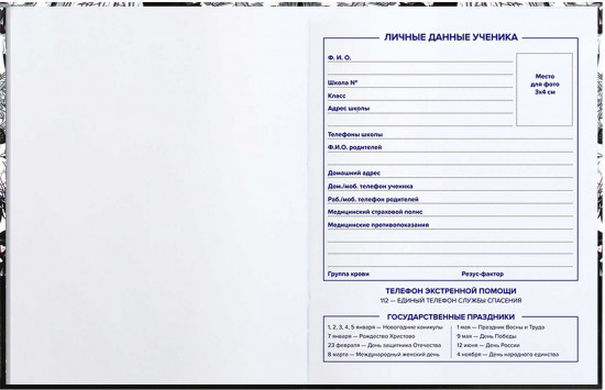 Дневник школьный «Манга принт»