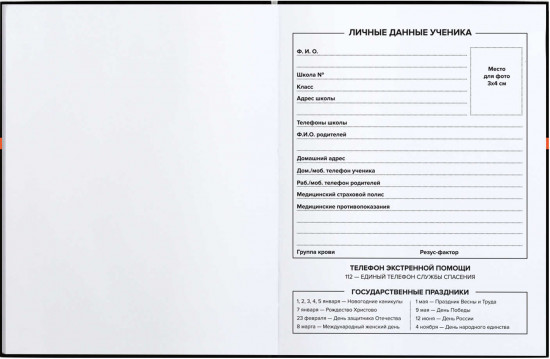 Дневник школьный «Фразы с характером»