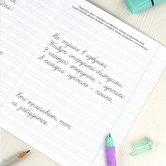 Прописи с пояснениями для детей «Тексты» - Фото 6