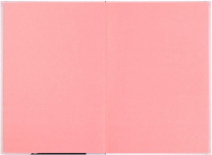 Дневничок для девочек «Блогерша» - Фото 2