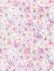 Папка на 4-х кольцах - Фото 1