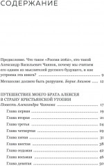 Александр Чаянов. Крестьянская страна-утопия как современный проект развития экономики, градострения и культуры - Фото 1