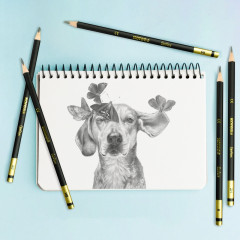 Набор карандашей чернографитных художественных «Grafitos Set» - Фото 6