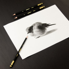 Набор карандашей чернографитных художественных «Grafitos Set» - Фото 7