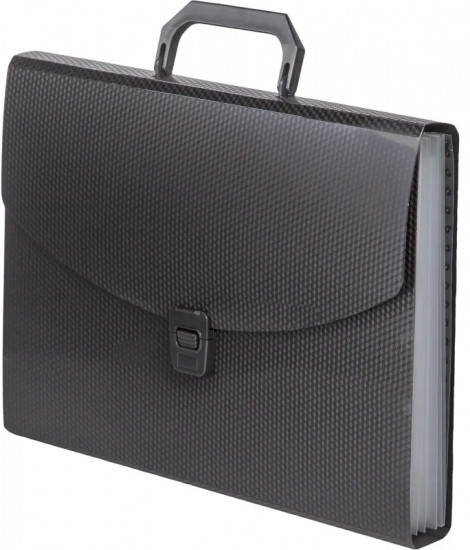 Папка-портфель