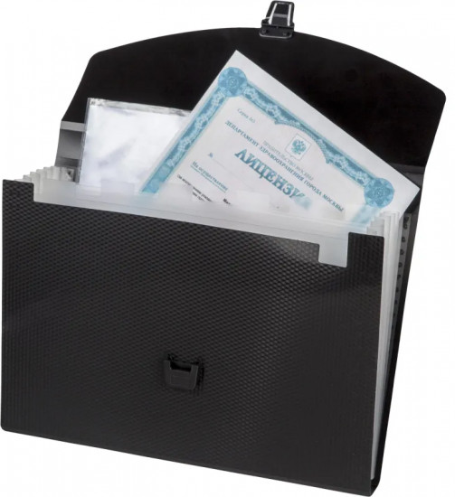 Папка-портфель