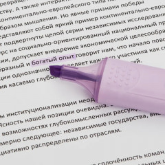 Набор текстовыделителей «Bright Liner Plus» - Фото 14
