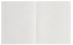 Комплект тетрадей в линейку из 10 штук, 12 листов - Фото 2