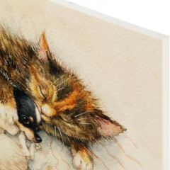 Альбом для рисования - Фото 6