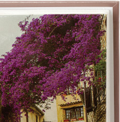 Фотоальбом «Цветущая улица» - Фото 3