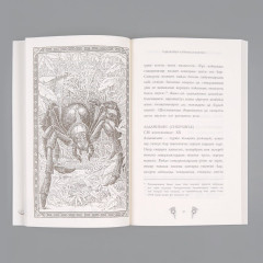 Таңғажайып хайуандар мен олар мекендейтін аймақтар - Фото 4