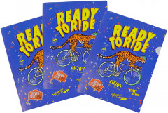 Папка-уголок пластиковая с принтом - Фото 1