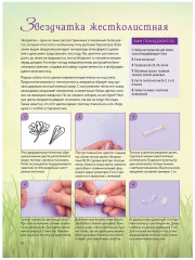 Весенние и полевые цветы из полимерной глины. Комплект из 2 книг - Фото 5