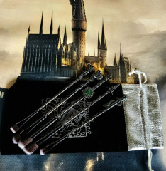 Набор кистей для макияжа в чехле «Слизерин» - Фото 2