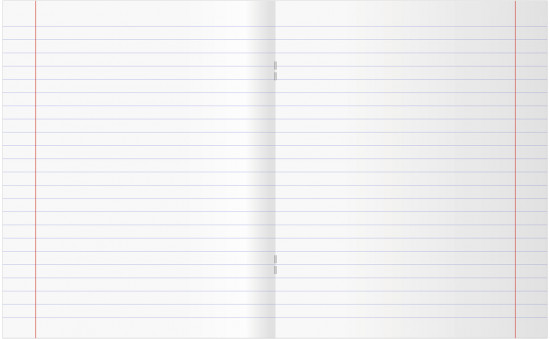 Тетрадь предметная «Литература»