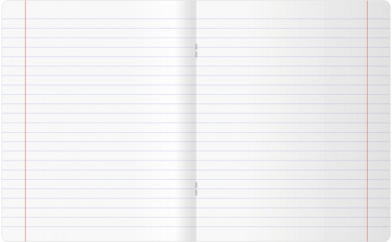 Тетрадь предметная «Литература»