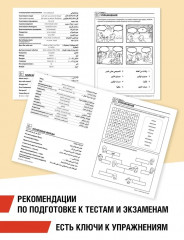 Арабский разговорный язык - Фото 2