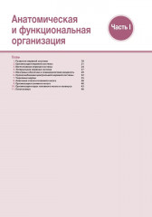 Наглядная неврология и нейроанатомия - Фото 8