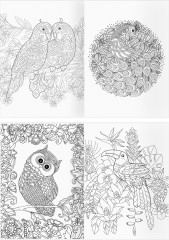 Раскраска-антистресс. Райские птицы - Фото 1