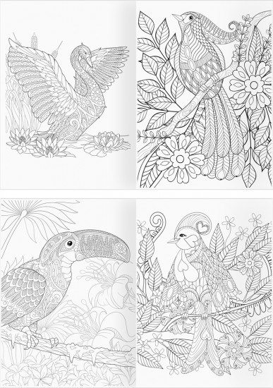Раскраска-антистресс. Райские птицы